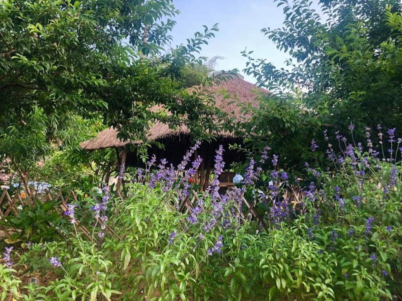 Savana Moc Chau Bed and Breakfast Esterno foto