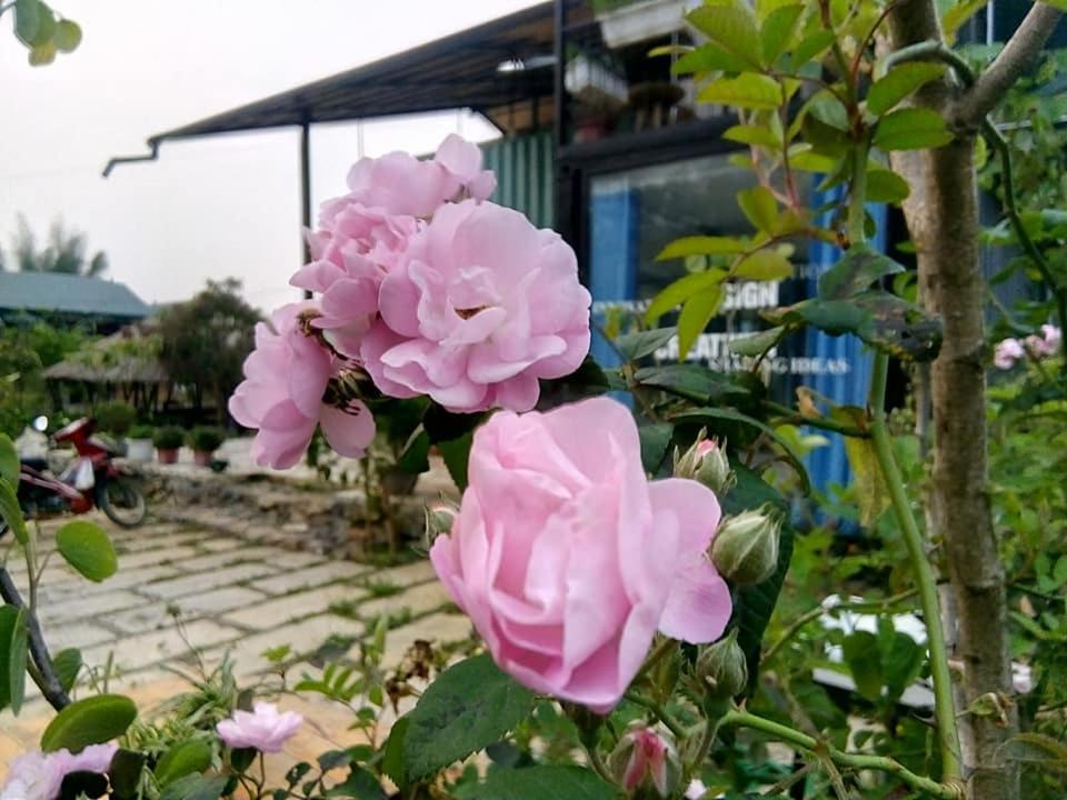 Savana Moc Chau Bed and Breakfast Esterno foto